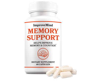 ImproveMind Memory Support